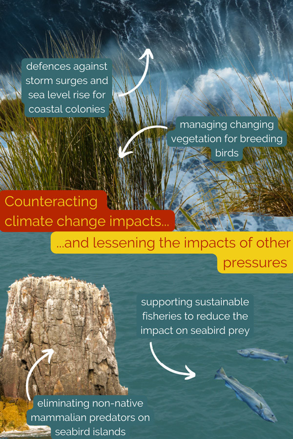 ="Climate