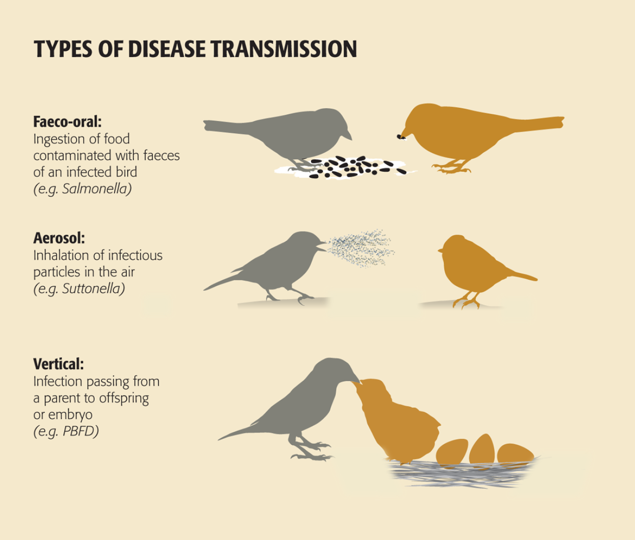 Types of disease transmission. Nigel Hawtin / nigelhawtin.com