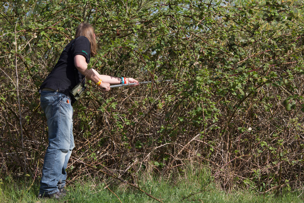 Nest finding, by Mike Toms / BTO