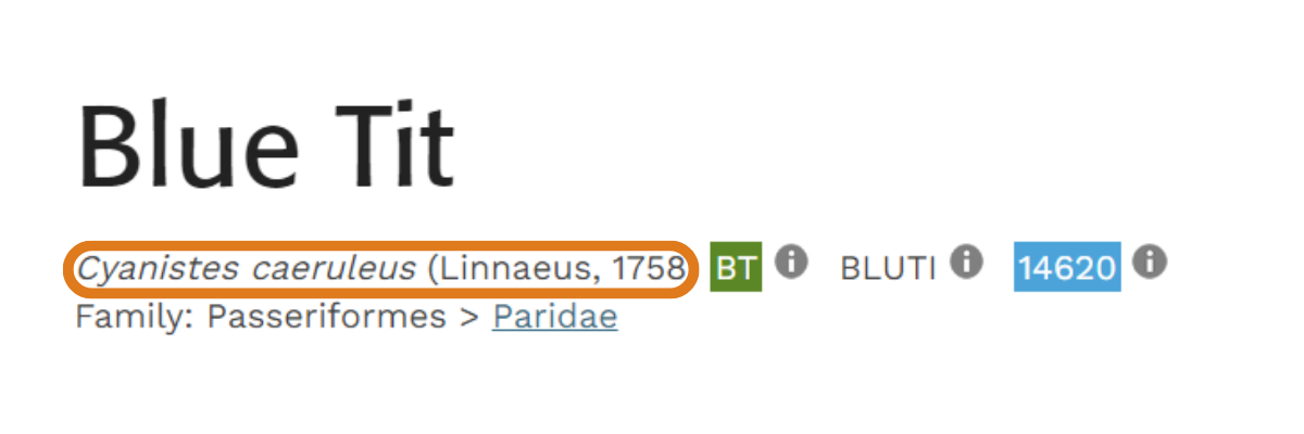 Species' scientific name, as it appears in BirdFacts. See text for details.