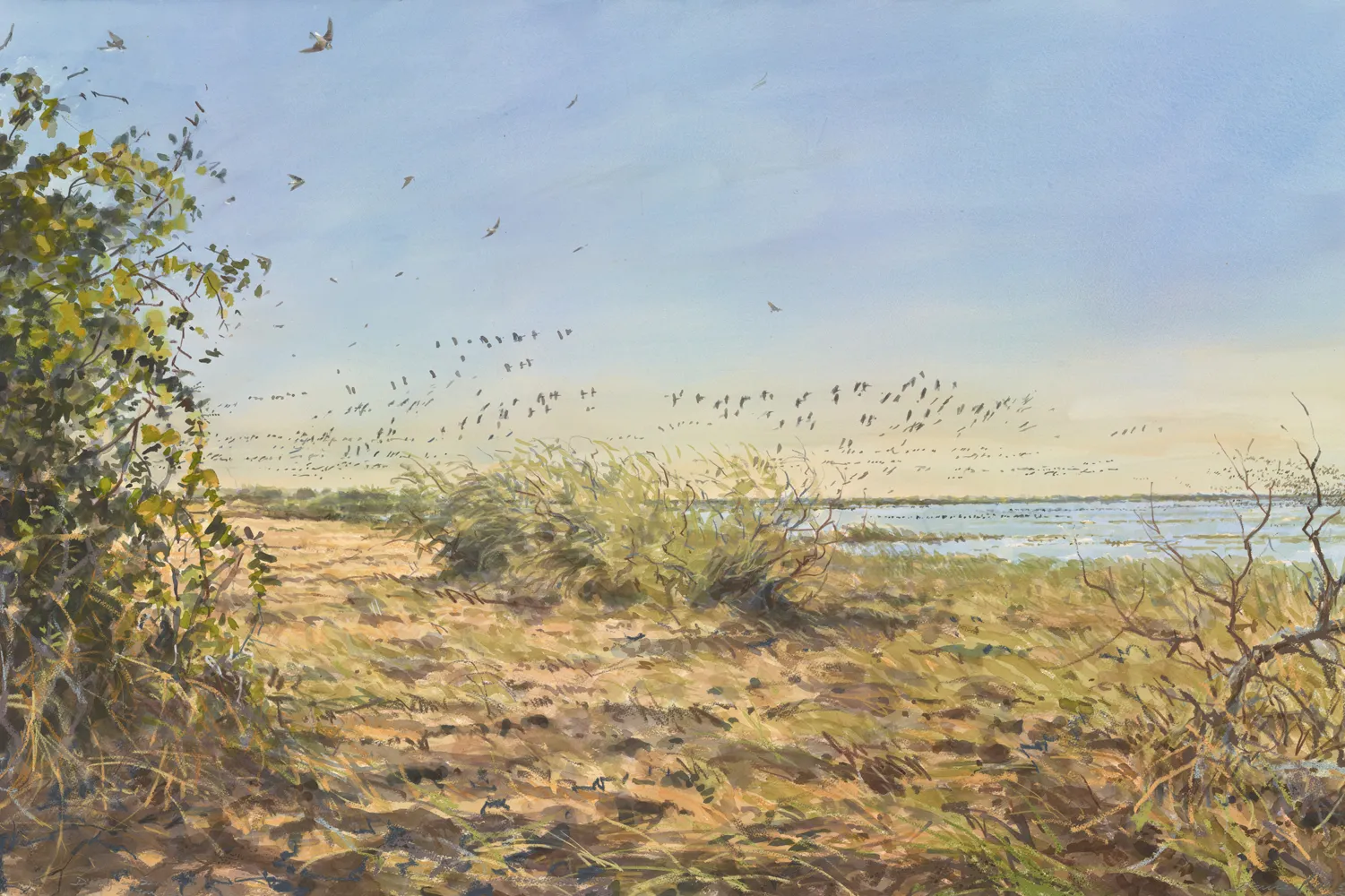 Djoudj landscape, by Bruce Pearson