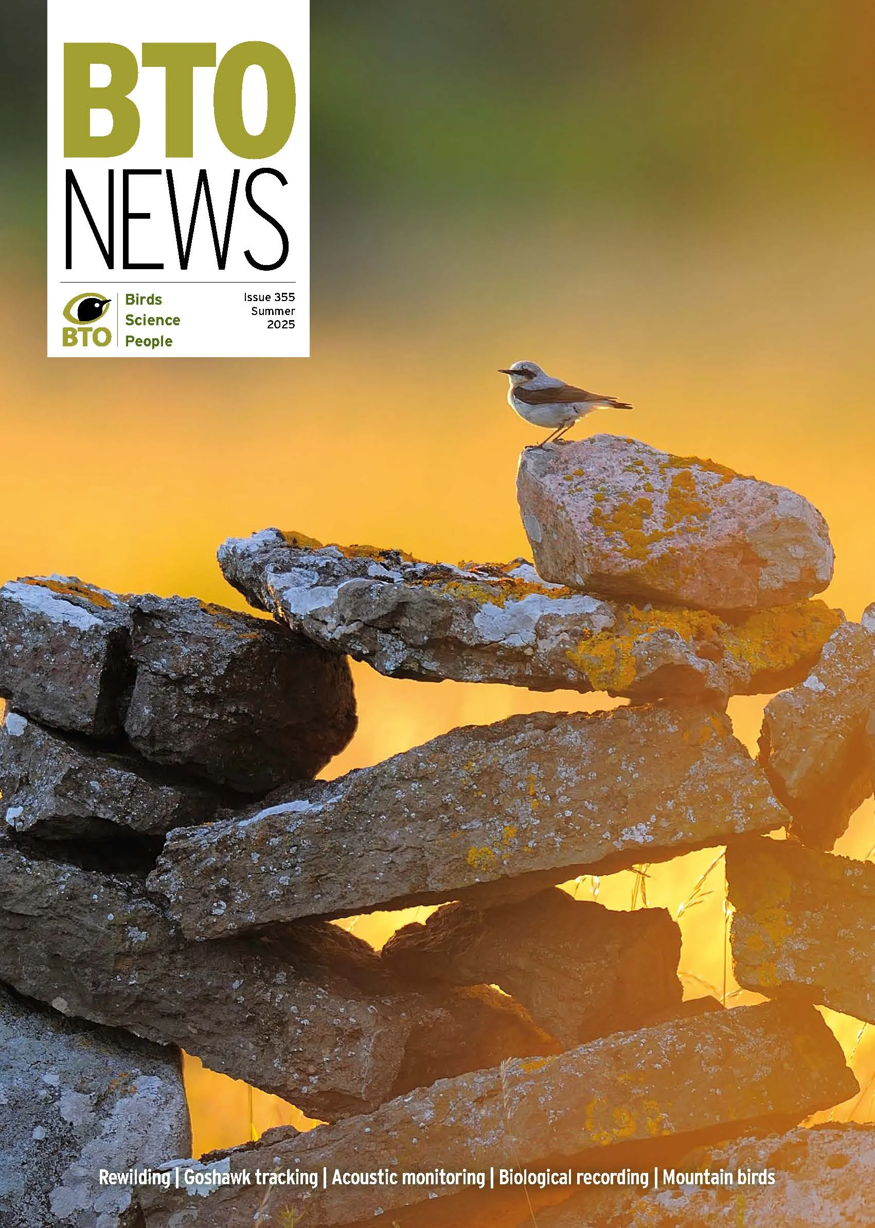 Issue 355, Summer 2025
