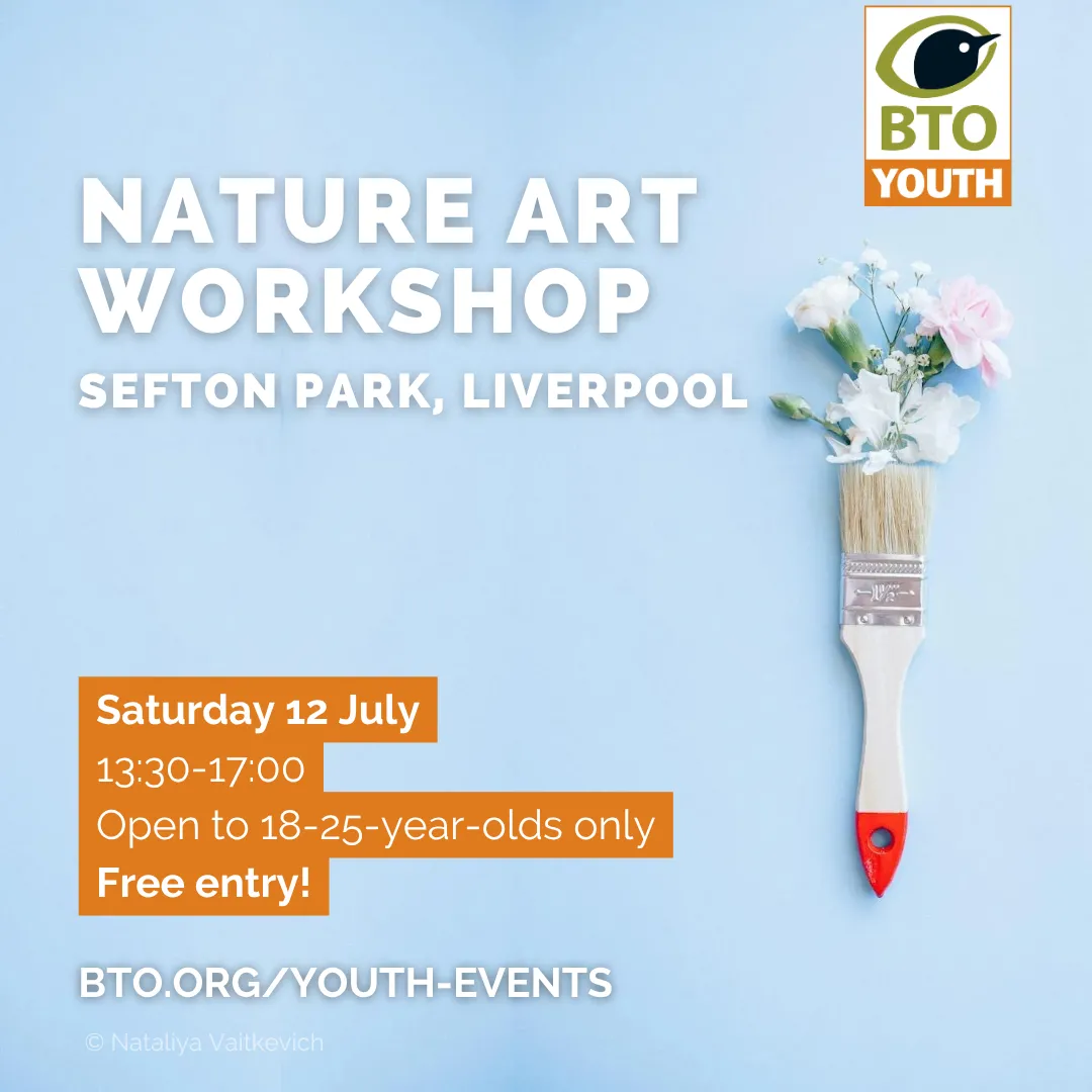 BTO Youth Nature Art Workshop