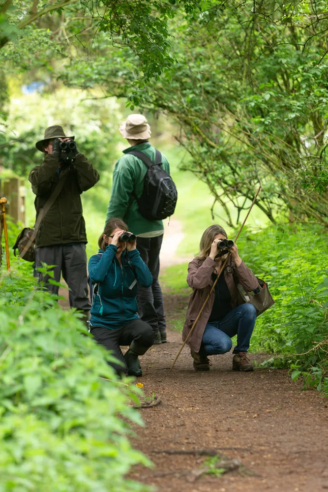 Nest recording training, by Keith Mindham / BTO Nest recording training, by Keith Mindham / BTO