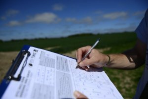 Field sheet by David Tipling